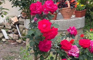 La grecità e il mare - Foto 59