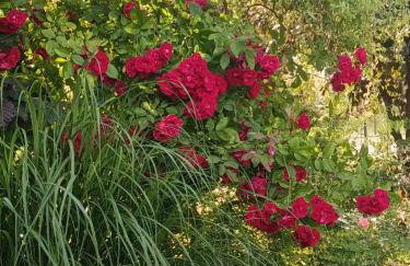 EliBlue -Twój apartament - Foto 40