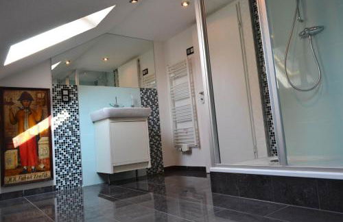 Loft Apartments Pulheim - Photo 10