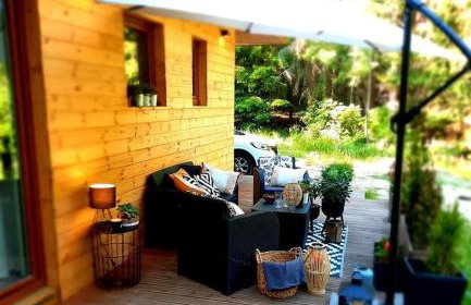 Między Brzozami - Foto 3