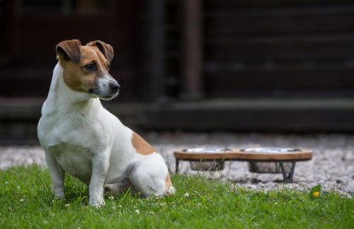 The Lodges at Artlegarth - Photo 47