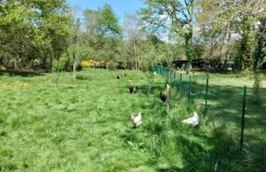 Maison Bel Air - Foto 31