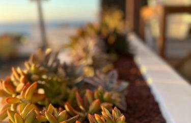 Juwel des Meeres Nudist Place FKK Complejo Nudista - Charco del Palo - - Foto 39