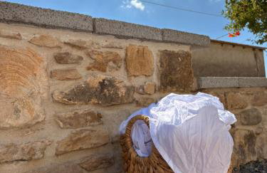 Plismoní - Photo 21