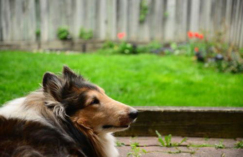 KUNSTLOFT - Atelier der Auszeit - Photo 63