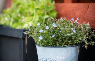 Mill House Bungalow - Foto 12