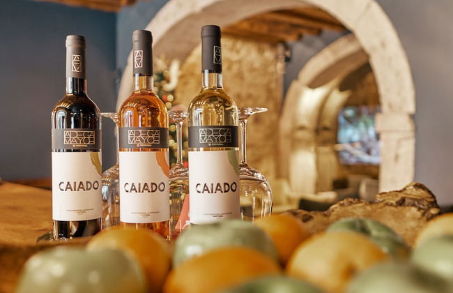 Dare Lisbon House - Foto 2