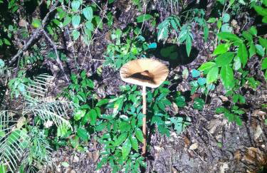 Casinha da Val - Foto 8