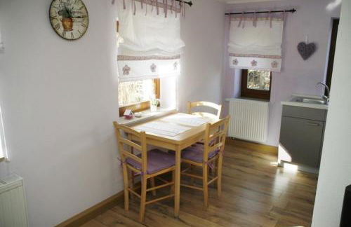 FeWo-sächsische-Schweiz - Foto 6