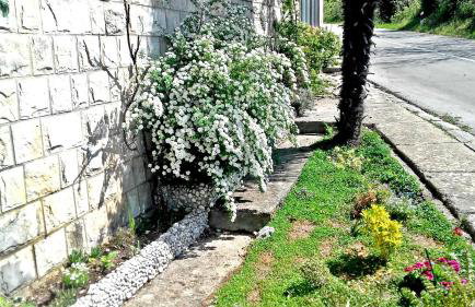 Friendly Apartments - Photo 37