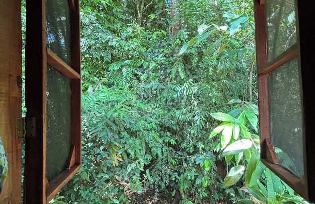 Citronela Lodge Corcovado - Foto 34