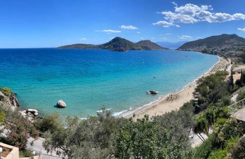 ZenSo Studios - Foto 31