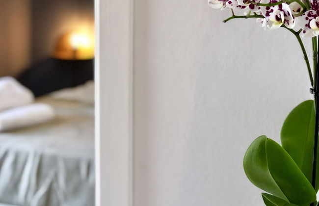 Oikos in Terre di Zaccanello - Photo 67