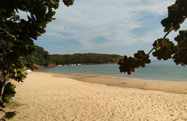 Canto Verde Aptos III - Foto 62