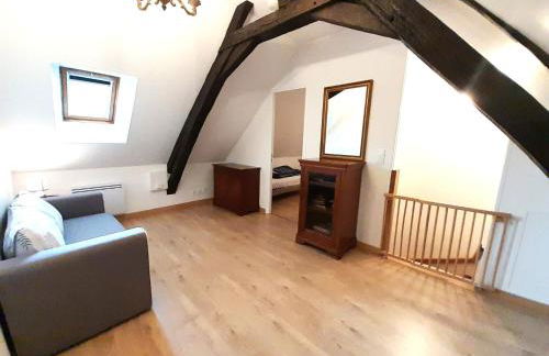 Gite Porte de Champagne Levroux - Foto 15