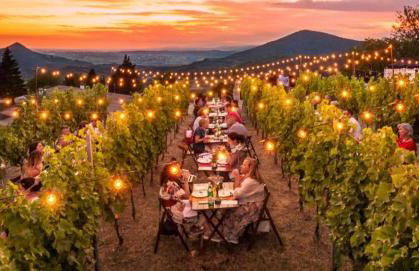 Wine & Ginger - Villa Luxury x8 - Foto 6