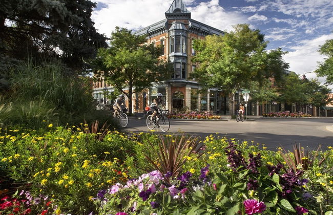 Walk Everywhere - Art, Restaurants, Poudre River - Foto 32