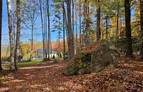 1B Contemporary cabin in magnificent setting, luxury and comfort, hot tub, AC! - Foto 53