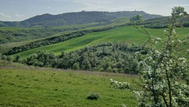 Garden Relax - Photo 2