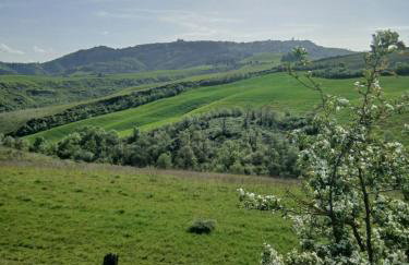 Garden Relax - Photo 2