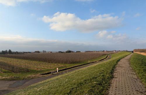 Charmantes Ferienhaus mit Sauna im Kirschenland - Photo 37