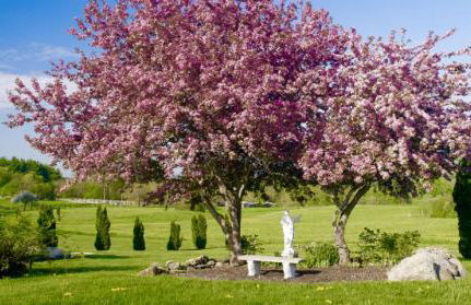 Business Travellers Studio FREE Late Check-Out - Foto 54