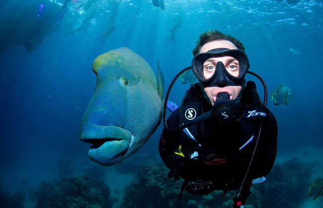 Introduction to Diving in the Great Barrier Reef - Photo 4