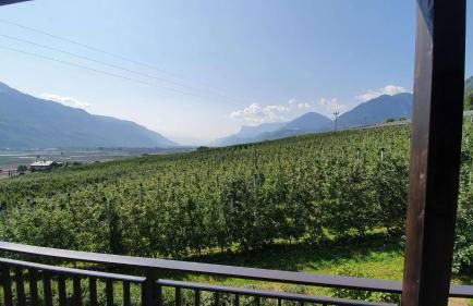 Haus Sonnegg - Foto 35