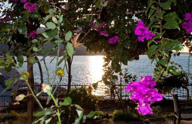 Villa Niki - Foto 16