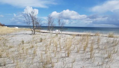 Vier Jahreszeiten 3 37 - Foto 5