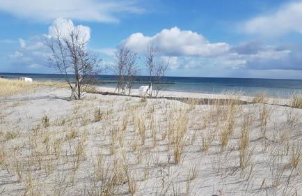 Vier Jahreszeiten 3 37 - Foto 5