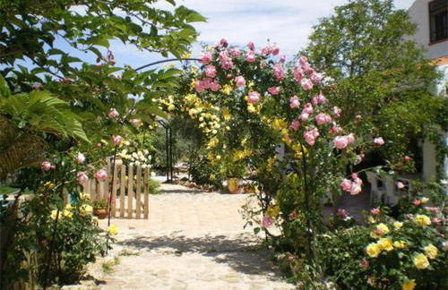 Casas Rurales Cazorla-Alcón - Foto 48