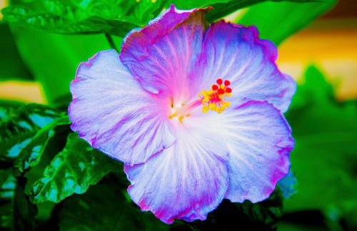 Royal Kahana 318 Studio Bedroom Condo by RedAwning - Foto 62