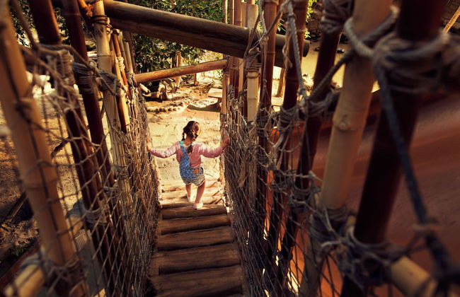 Center Parcs De Vossemeren - Foto 80