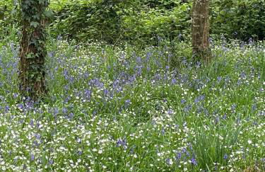 Château Doré les Tours - Appartement Loup - Proche Puy du Fou - Photo 48