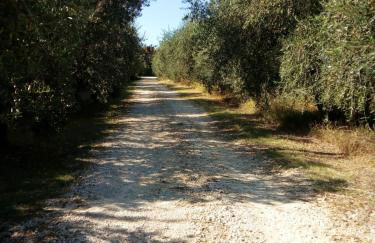 Agriturismo Madre Terra - Foto 7