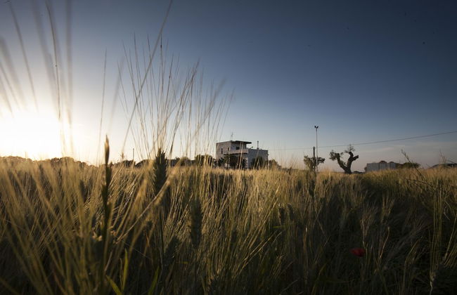 Masseria Stella - Foto 22