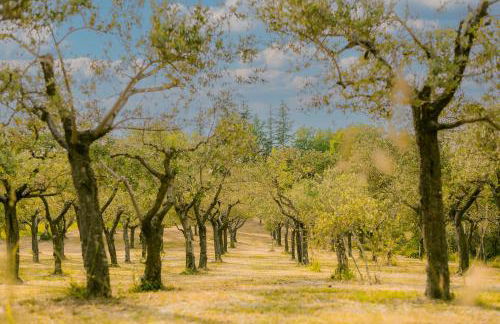 Tenuta delle Rose - Country House - Foto 11