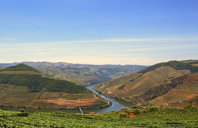 Casa de Casal de Loivos - Photo 66