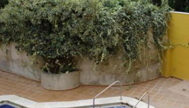 Apartamento Pescadors - Foto 1