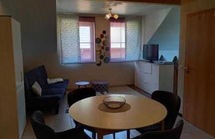 Ferienwohnungen Nibelungenwald - Foto 98