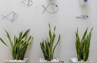 Puerto Bello - Foto 19