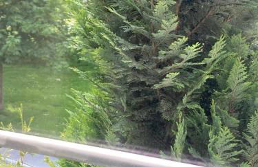 Toll Apartment mit privatem Eingang free Parking Slbst Check-in 30 Zone ruhig keine Ferienwohnung - Photo 13