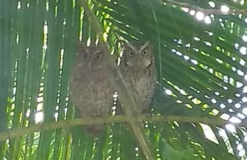 Bangalo a beira do rio em plena natureza - Foto 27