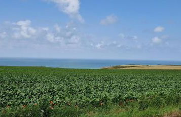 House for 4 To 6 Peoplec - Foto 27