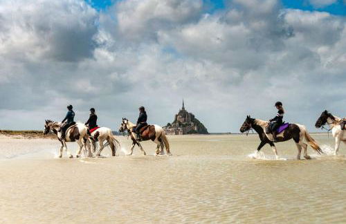 Gîte Timéo Mont Saint-Michel - Foto 46