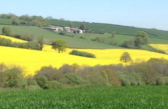 The Brick Barn, Drewsteignton - Foto 7