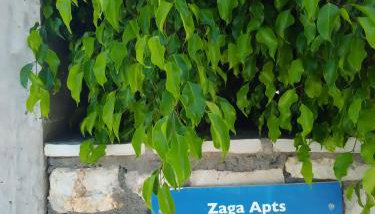 ZAGA Apartments - Photo 4