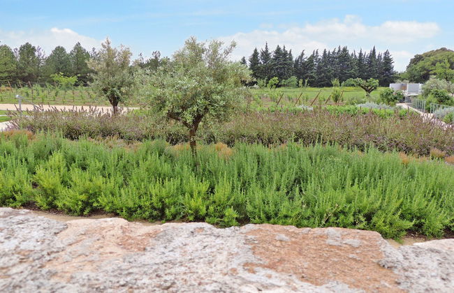 Domaine de Bacchus-2 pièces 4 pers. - Foto 21