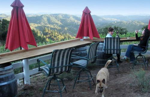 Vacation Rental with Spa and Pool on Winery near Healdsburg, California - Foto 15